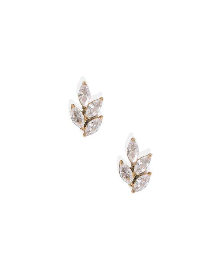 Screwback Stud Earrings - Laurel Gold