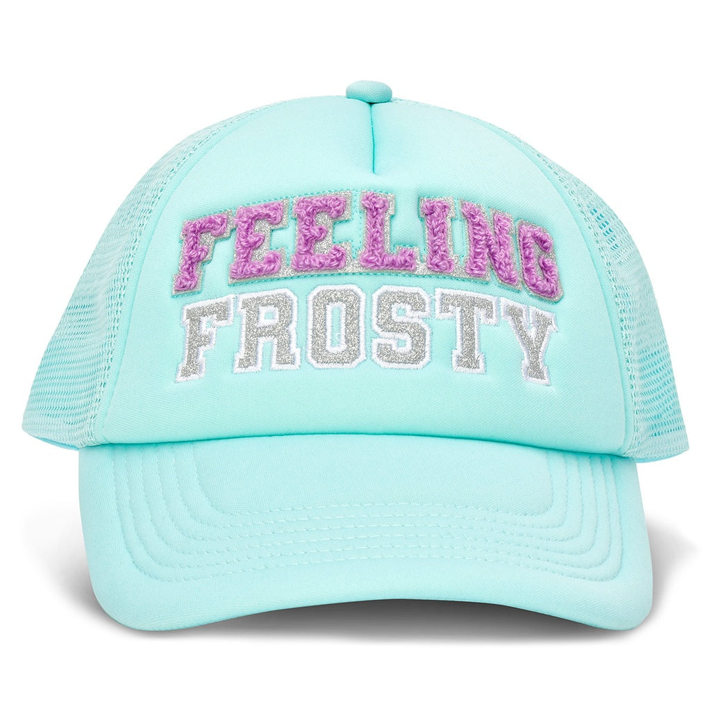 Frosty Trucker Hat