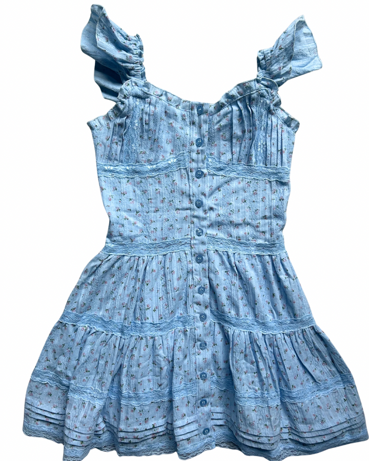 Blue Pink Rose Dress