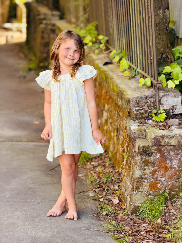 Citron Stripe Lucia Dress