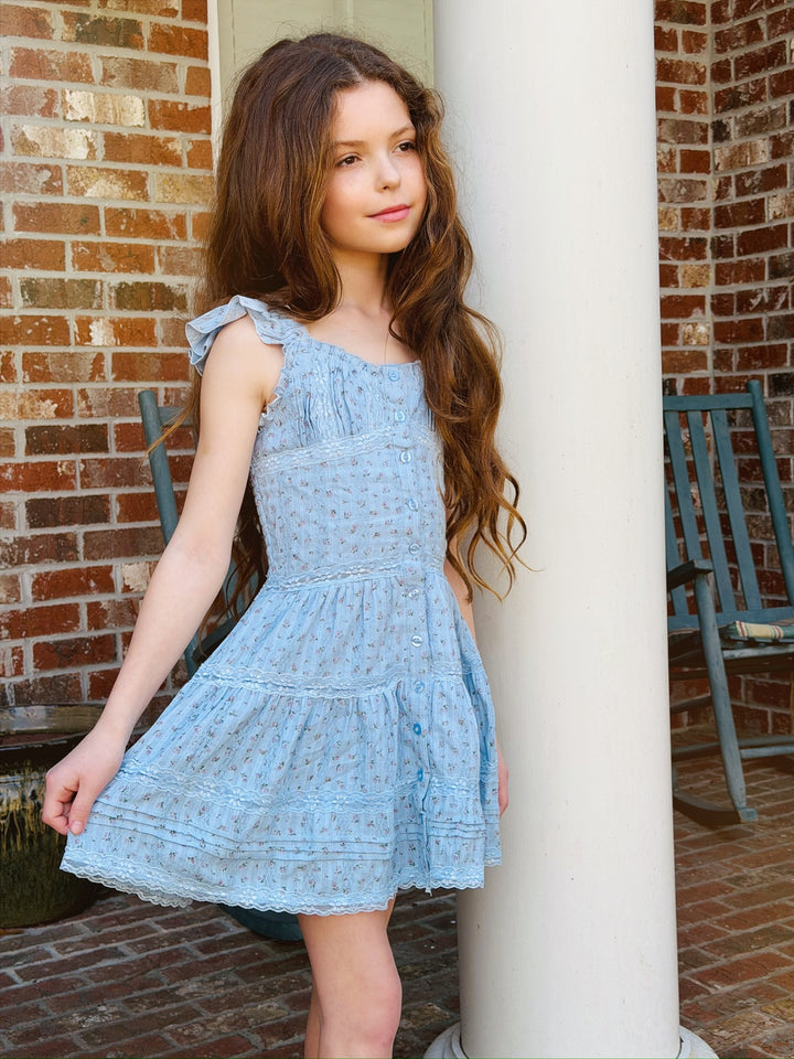 Blue Pink Rose Dress