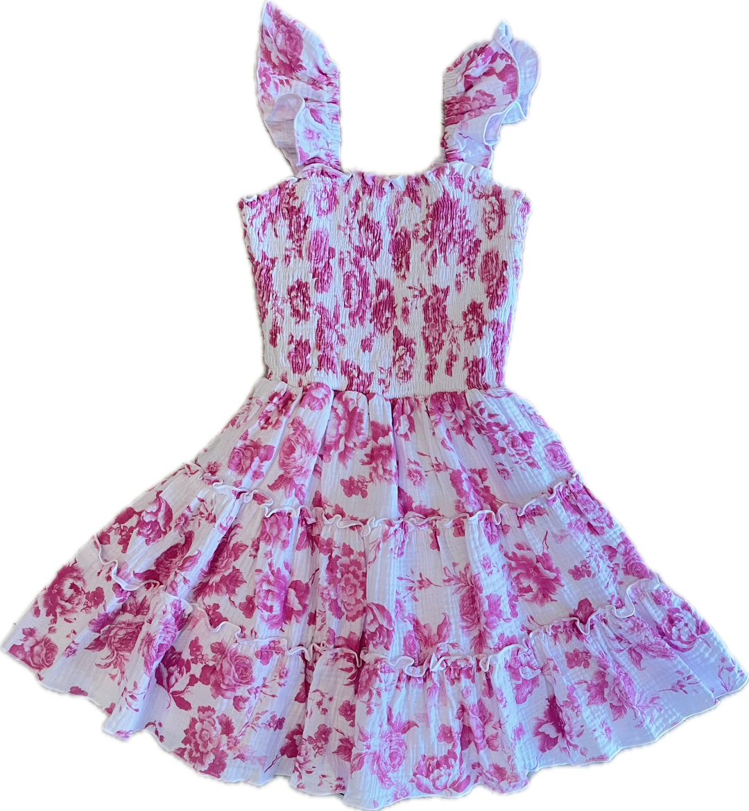 Pink Toile Dress