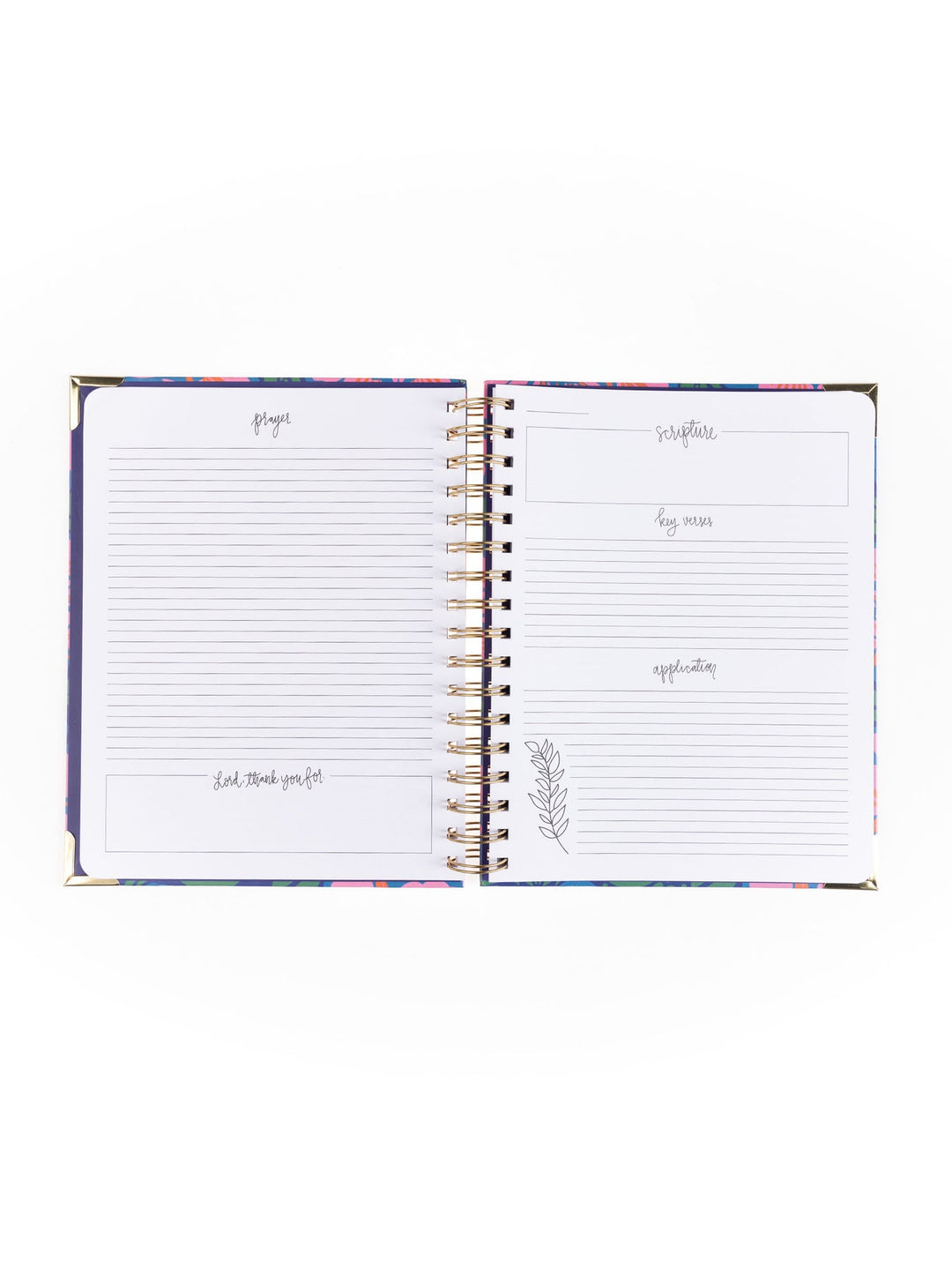 Devotional Journal | He Made Everything