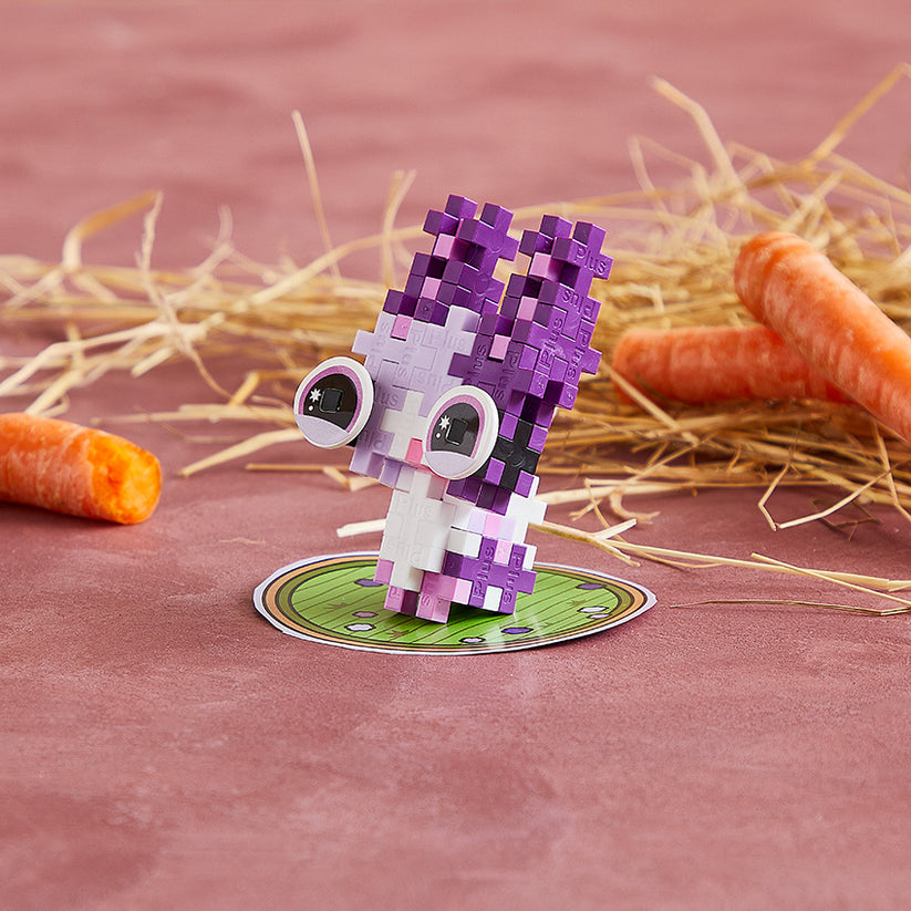 Pet Packet - Bashful Bunny