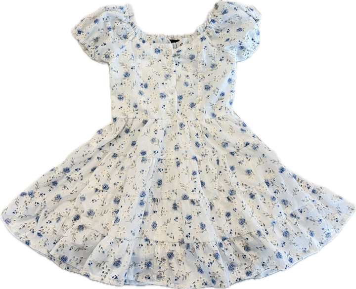 Multi Blue Eyelet Dress