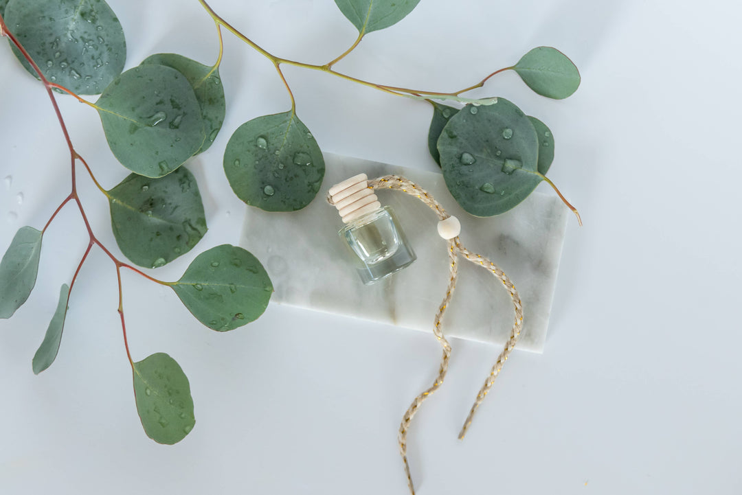 Diffuser: Eucalyptus Rain: Unpackaged