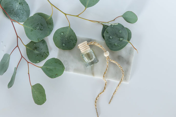 Diffuser: Eucalyptus Rain: Unpackaged