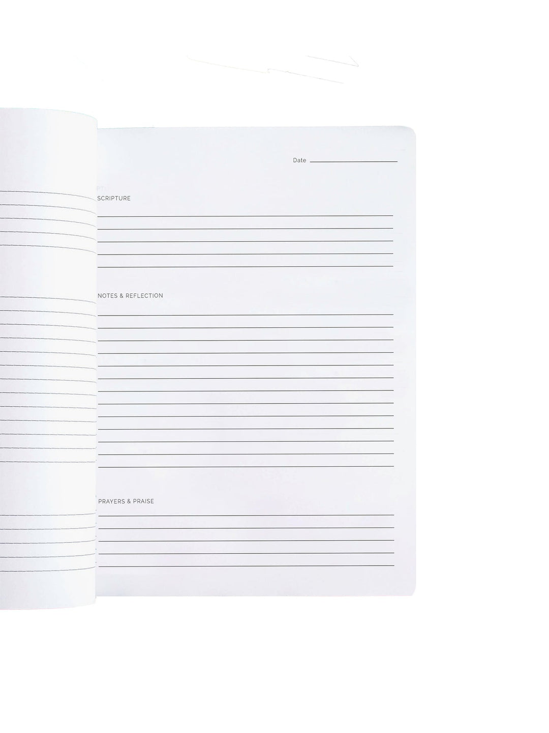 Bible Study Journal | Joy of the Lord