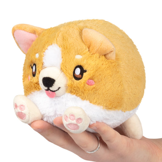 Snackers - Baby Corgi