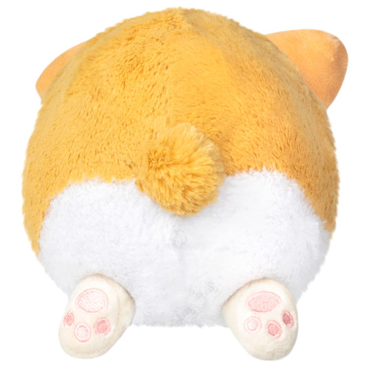 Snackers - Baby Corgi